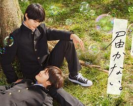 什么是搜索引擎和SEO